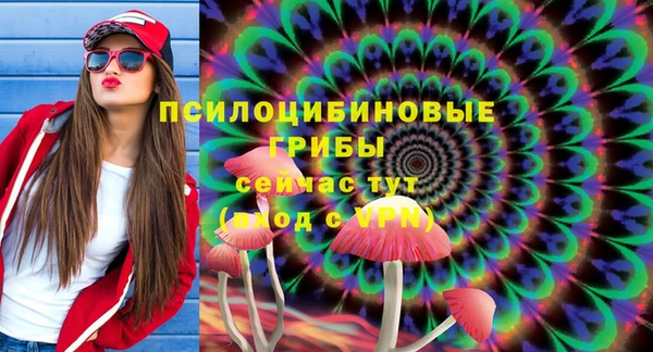 mix Алексеевка